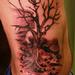 Tattoos - Tree & Dried up creek bed - 91943